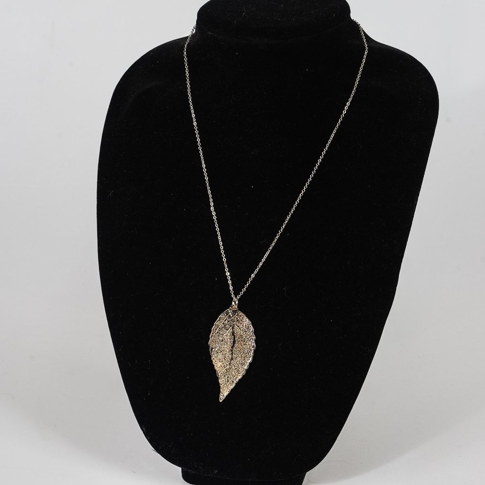 Silver dipped eucalyptus leaf from Australia